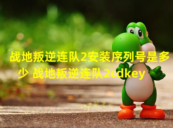 战地叛逆连队2安装序列号是多少 战地叛逆连队2cdkey