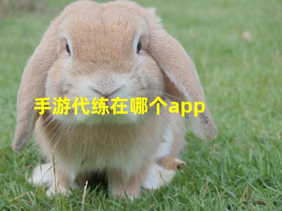 手游代练在哪个app