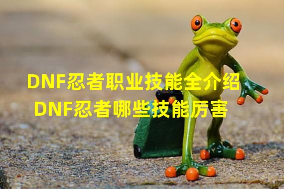 DNF忍者职业技能全介绍 DNF忍者哪些技能厉害