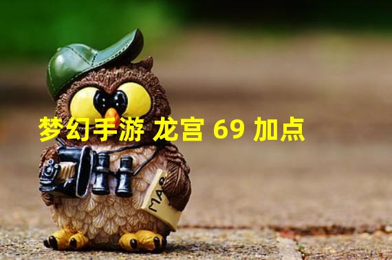 梦幻手游 龙宫 69 加点