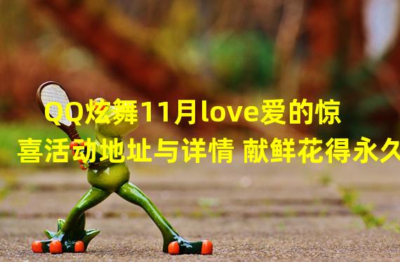 QQ炫舞11月love爱的惊喜活动地址与详情 献鲜花得永久