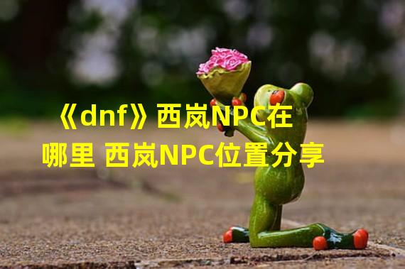 《dnf》西岚NPC在哪里 西岚NPC位置分享