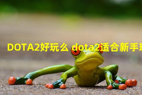 DOTA2好玩么 dota2适合新手玩家么