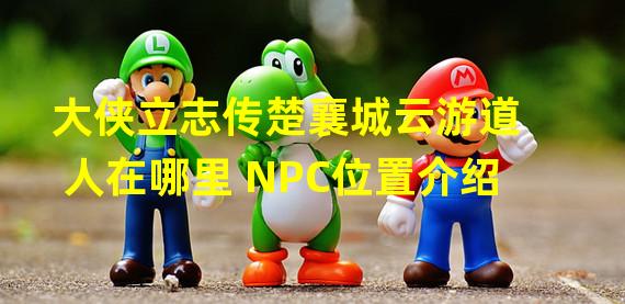 大侠立志传楚襄城云游道人在哪里 NPC位置介绍