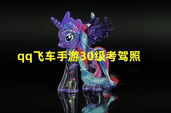 qq飞车手游30级考驾照