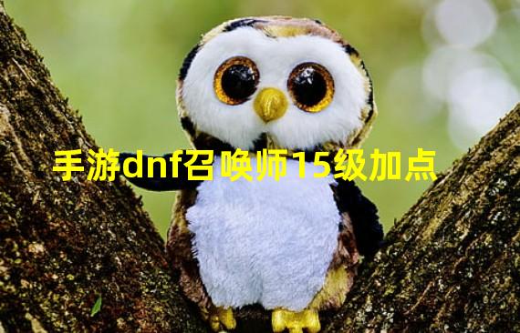 手游dnf召唤师15级加点