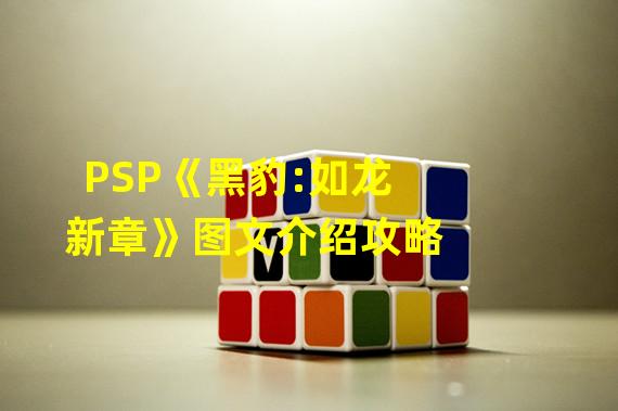 PSP《黑豹:如龙新章》图文介绍攻略