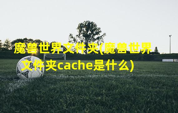 魔兽世界文件夹(魔兽世界文件夹cache是什么)