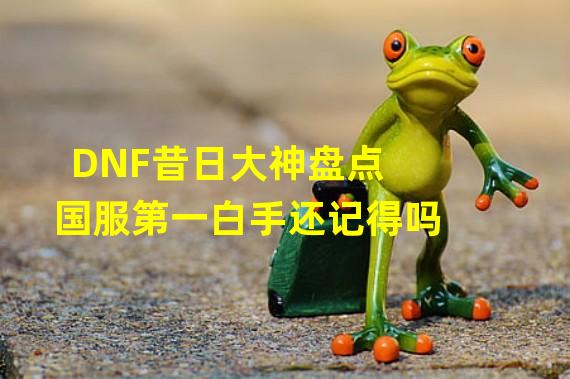 DNF昔日大神盘点 国服第一白手还记得吗