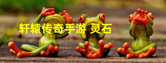 轩辕传奇手游 灵石