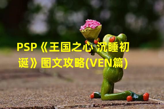 PSP《王国之心 沉睡初诞》图文攻略(VEN篇)