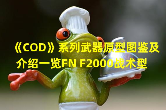 《COD》系列武器原型图鉴及介绍一览FN F2000战术型