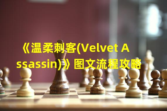 《温柔刺客(Velvet Assassin)》图文流程攻略