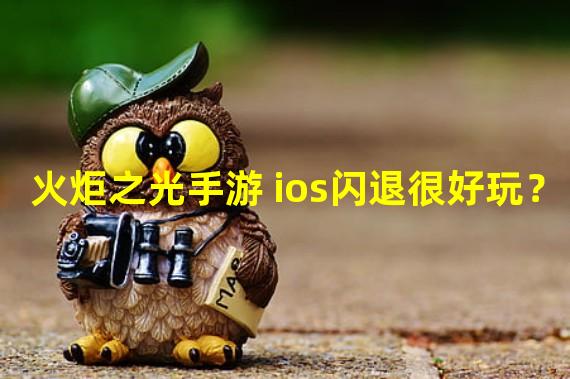 火炬之光手游 ios闪退很好玩？