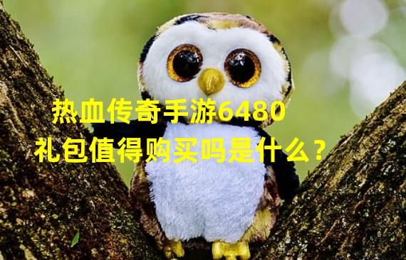 热血传奇手游6480礼包值得购买吗是什么？