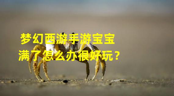 梦幻西游手游宝宝满了怎么办很好玩？