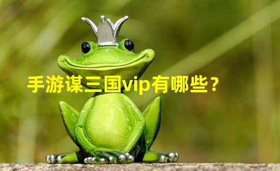 手游谋三国vip有哪些？