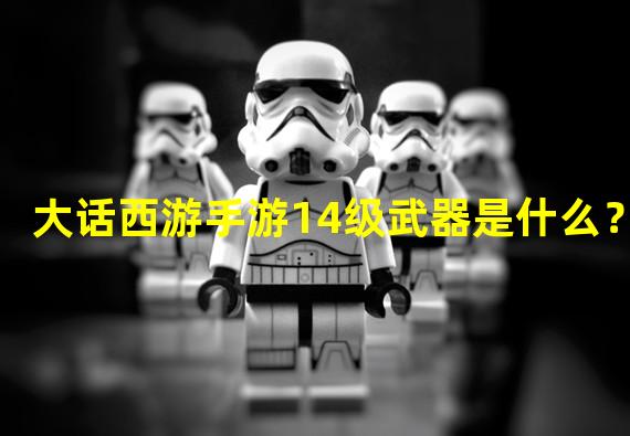 大话西游手游14级武器是什么？