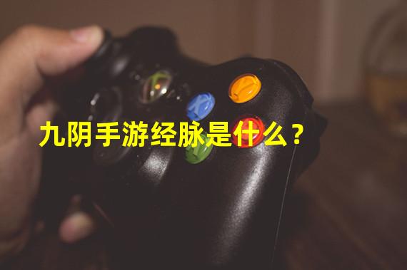 九阴手游经脉是什么？