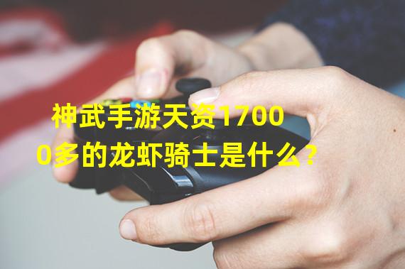 神武手游天资17000多的龙虾骑士是什么？