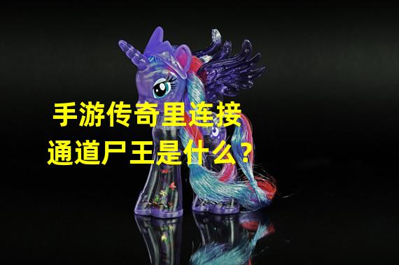 手游传奇里连接通道尸王是什么？