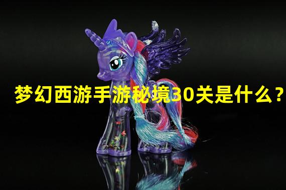 梦幻西游手游秘境30关是什么？