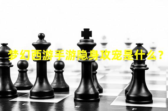 梦幻西游手游隐身攻宠是什么？