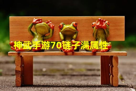 神武手游70链子满属性