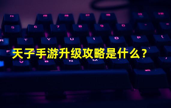 天子手游升级攻略是什么？