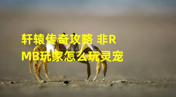 轩辕传奇攻略 非RMB玩家怎么玩灵宠