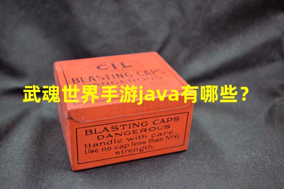 武魂世界手游java有哪些？