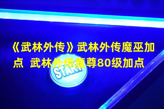 《武林外传》武林外传魔巫加点  武林外传魔尊80级加点