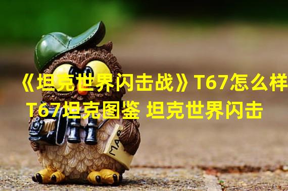 《坦克世界闪击战》T67怎么样 T67坦克图鉴 坦克世界闪击