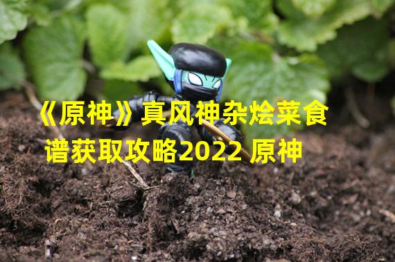 《原神》真风神杂烩菜食谱获取攻略2022 原神