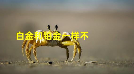 白金和铂金一样不