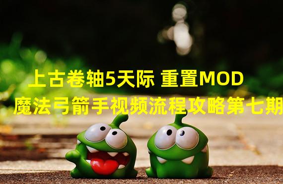 上古卷轴5天际 重置MOD魔法弓箭手视频流程攻略第七期