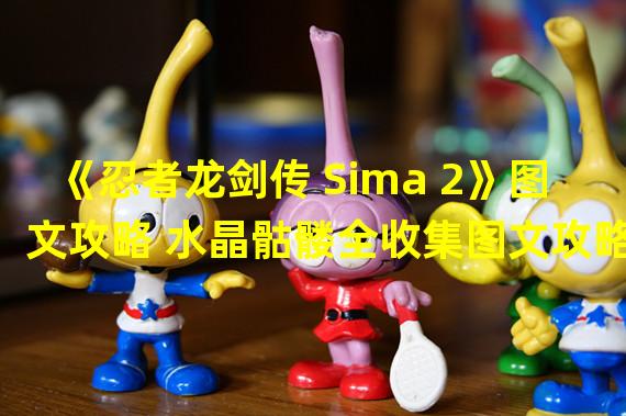 《忍者龙剑传 Sima 2》图文攻略 水晶骷髅全收集图文攻略章节3