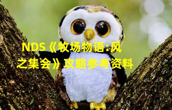 NDS《牧场物语:风之集会》攻略参考资料