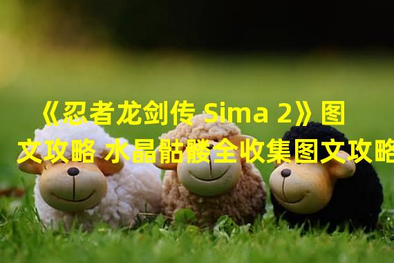 《忍者龙剑传 Sima 2》图文攻略 水晶骷髅全收集图文攻略