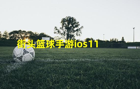 街头篮球手游ios11