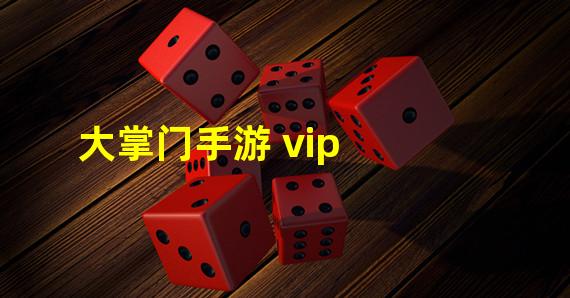 大掌门手游 vip