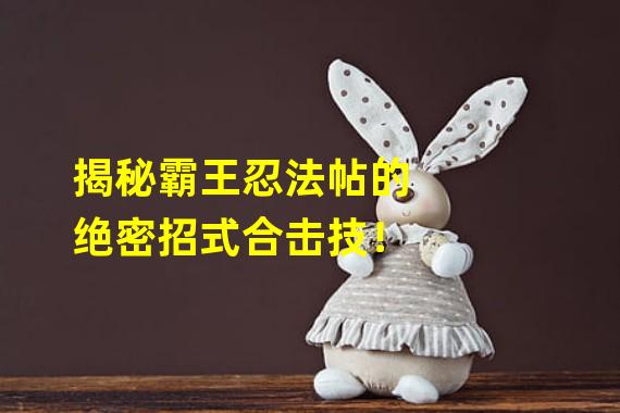 揭秘霸王忍法帖的绝密招式合击技！