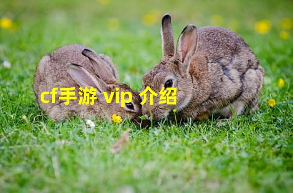 cf手游 vip 介绍